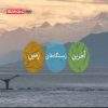 دانلود مستند دریا در مخاطره از مجموعه آخرین زیستگاههای زمین