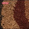 دانلود مستند حبوبات از مجموعه شگفتی های دنیای امروزی