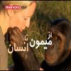 دانلود مستند از میمون تا انسان - 1 از مجموعه ویژه برنامه