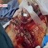 دانلود مستند یک ساعت سرنوشتساز - 1 از مجموعه یک ساعت سرنوشتساز