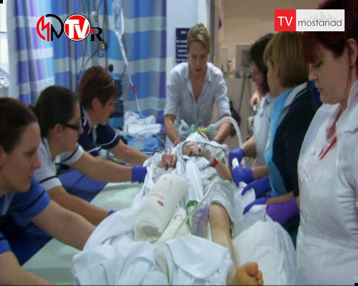 نبض بریتانیا نبض بریتانیا