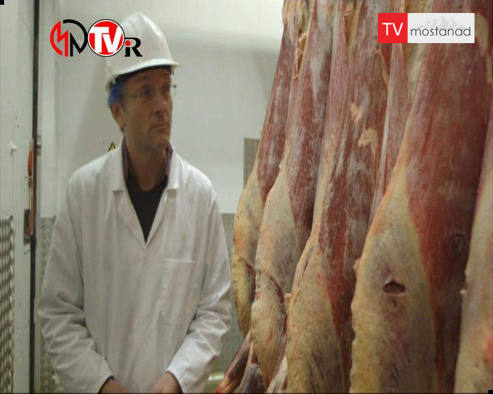 ۱۲ دانلود مجموعه دانستنی ها بی بی سی با دوبله فارسی