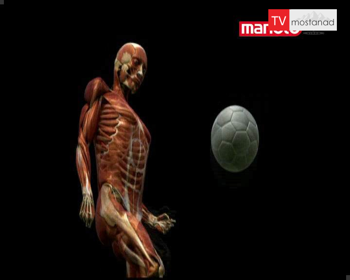 بدن انسان در تنگنا بدن انسان در تنگنا