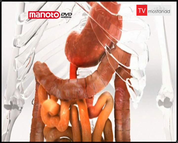 تکامل تکامل