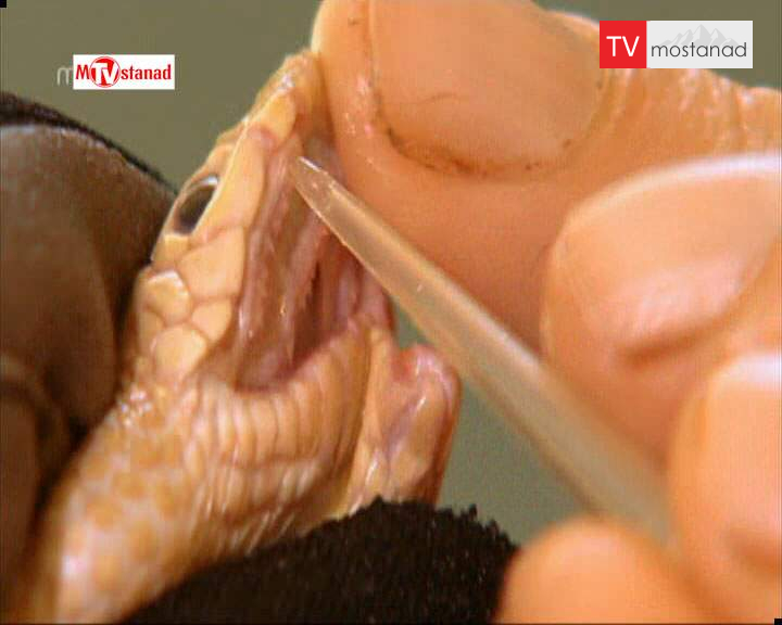 سخت ترین شغل های جهان سخت ترین شغل های جهان