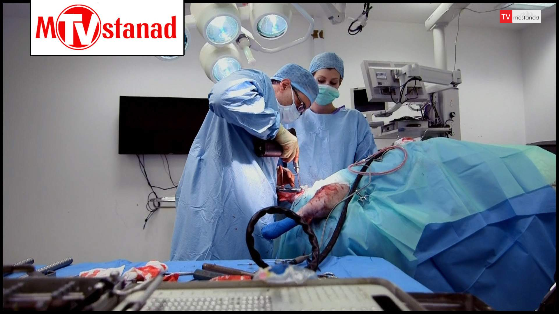 سوپر کلینیک حیوانات سوپر کلینیک حیوانات