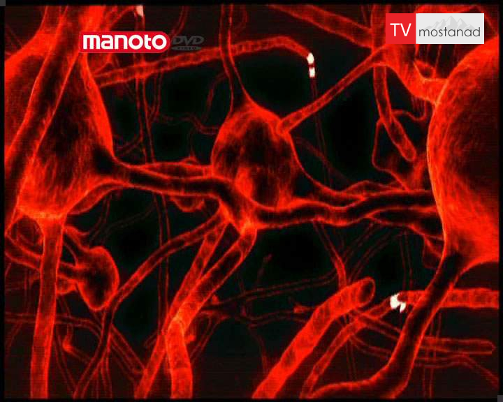 اسرار مغز اسرار مغز