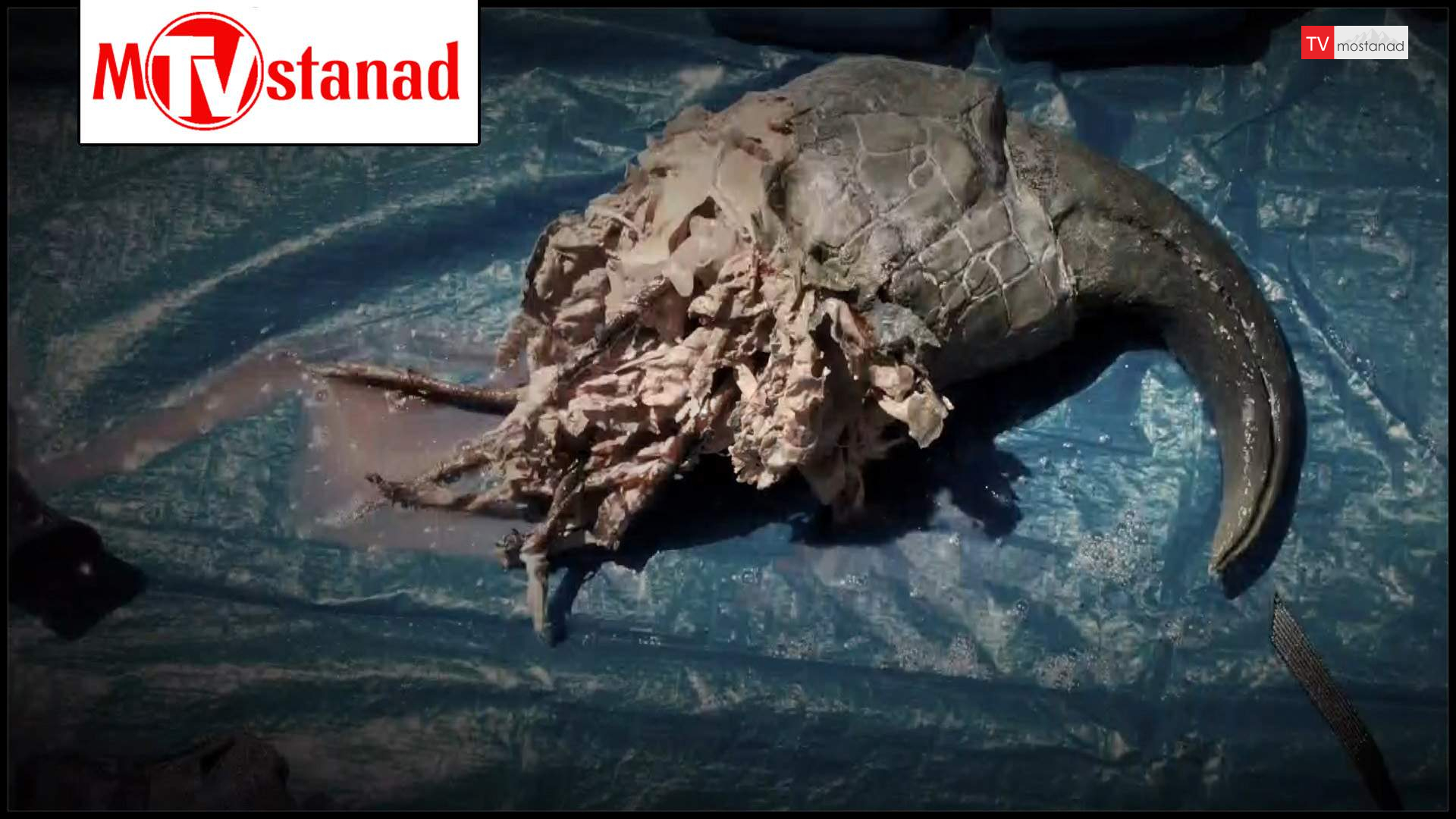 اسرار تاریک اسرار تاریک