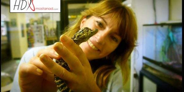 دانلود مستند شگفتیهای تولد حیوانات - 1 از مجموعه شگفتیهای تولد حیوانات