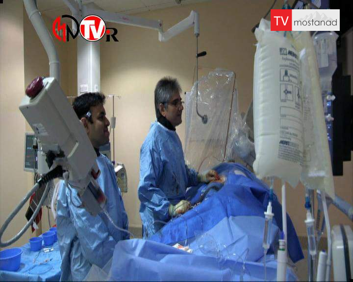 نبض بریتانیا نبض بریتانیا