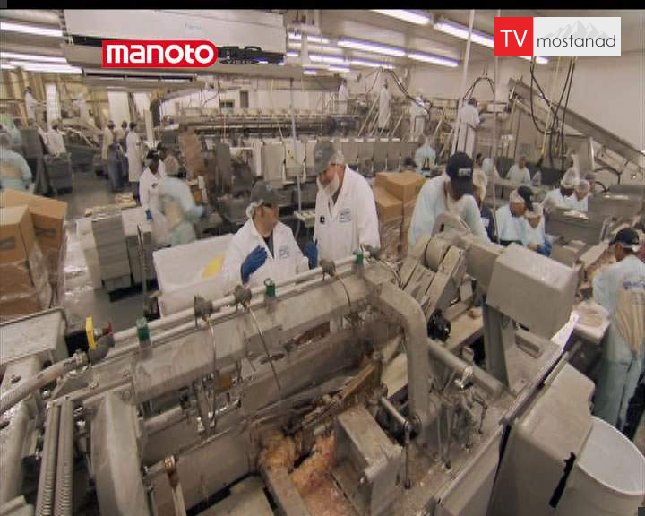 ۶ از تولید تا مزه