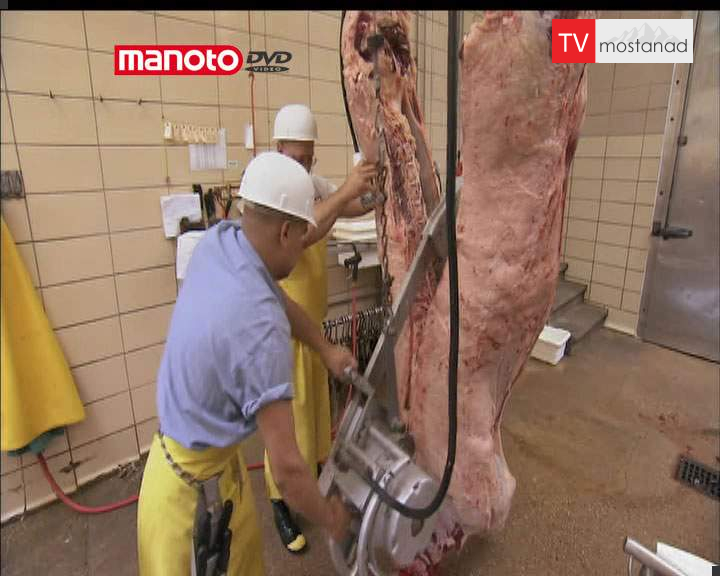 ۷ از تولید تا مزه