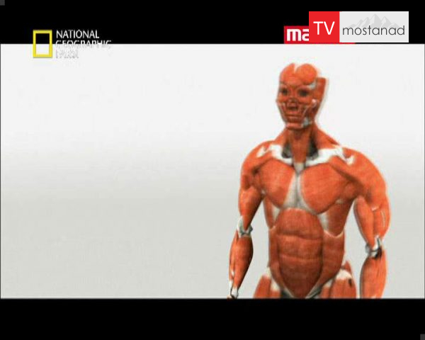 دانلود مستند بدن شگفت انگیز انسان از مجموعه برنامه علمی دانلود مستند بدن شگفت انگیز انسان از مجموعه برنامه علمی