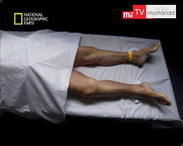 دانلود مستند تجارت اعضای بدن از مجموعه برنامه علمی دانلود مستند تجارت اعضای بدن از مجموعه برنامه علمی