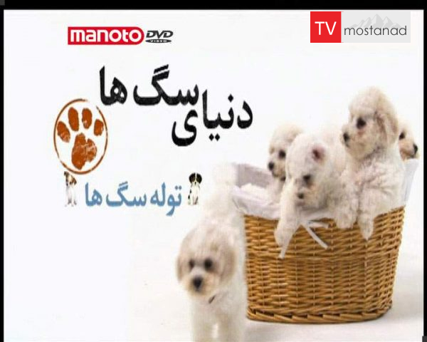 دانلود مستند دنیای سگ ها 2 – 6 از مجموعه دنیای سگ ها دانلود مستند دنیای سگ ها 2 - 6 از مجموعه دنیای سگ ها
