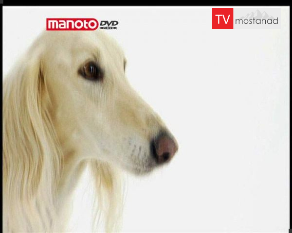 دانلود مستند دنیای سگ ها 3 – 3 از مجموعه دنیای سگ ها دانلود مستند دنیای سگ ها 3 - 3 از مجموعه دنیای سگ ها