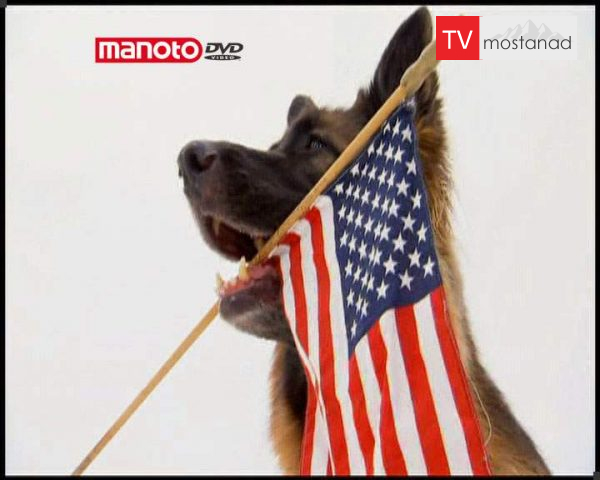 دانلود مستند دنیای سگ ها 1 – 8 از مجموعه دنیای سگ ها دانلود مستند دنیای سگ ها 1 - 8 از مجموعه دنیای سگ ها