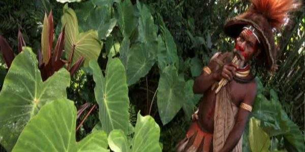 دانلود مستند صداهای ماندگار از مجموعه شگفت انگیزترین عکس ها