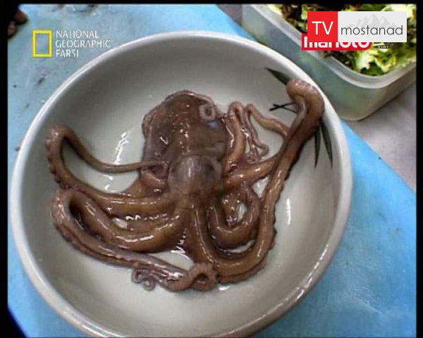 دانلود مستند رویاروی نزدیک از مجموعه لحظات شگفت انگیز دانلود مستند رویاروی نزدیک از مجموعه لحظات شگفت انگیز