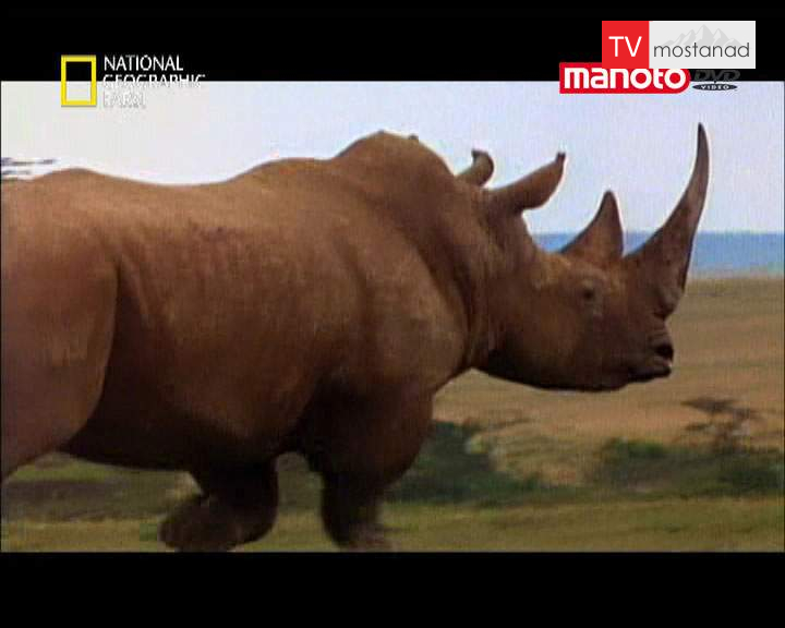 دانلود مستند اهمیت جثه از مجموعه ماموریت های خطرناک دانلود مستند اهمیت جثه از مجموعه ماموریت های خطرناک