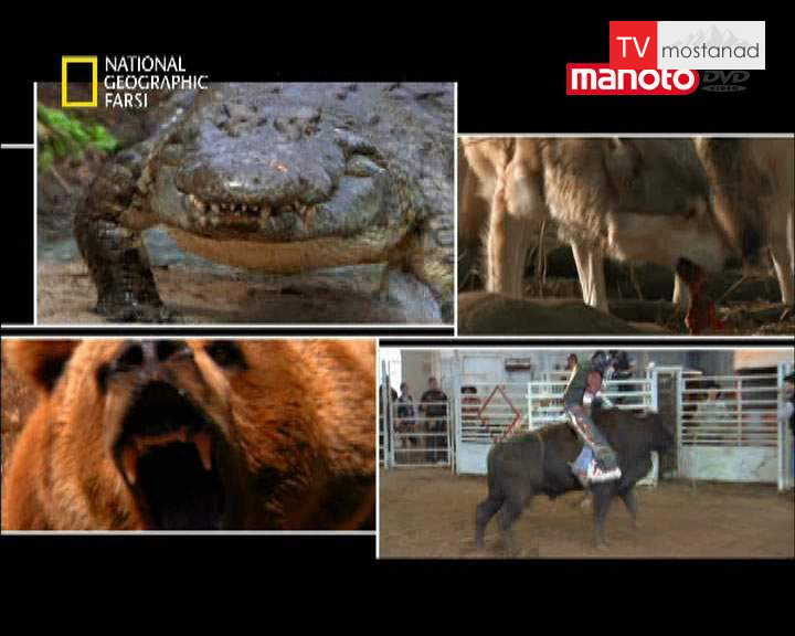 دانلود مستند رویاروی نزدیک از مجموعه ماموریت های خطرناک دانلود مستند رویاروی نزدیک از مجموعه ماموریت های خطرناک