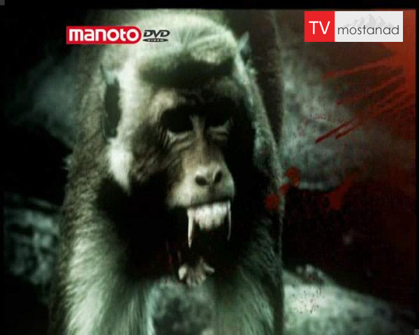 دانلود مستند امپراطوری میمون ها – 3 از مجموعه امپراطوری میمون ها دانلود مستند امپراطوری میمون ها - 3 از مجموعه امپراطوری میمون ها