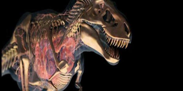 دانلود مستند شکارچیان تمام عیار از مجموعه انقراض دایناسورها