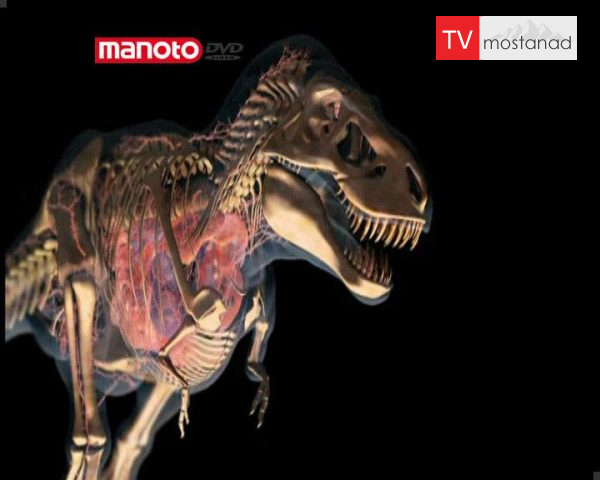 دانلود مستند شکارچیان تمام عیار از مجموعه انقراض دایناسورها دانلود مستند شکارچیان تمام عیار از مجموعه انقراض دایناسورها