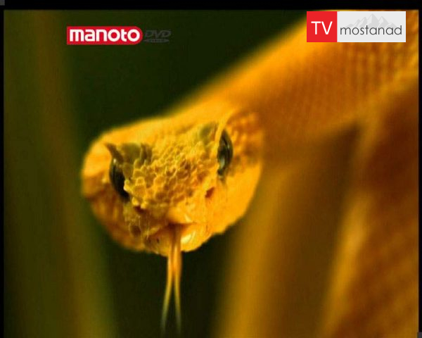 دانلود مستند قسمت دوم از مجموعه شکار و بقا دانلود مستند قسمت دوم از مجموعه شکار و بقا