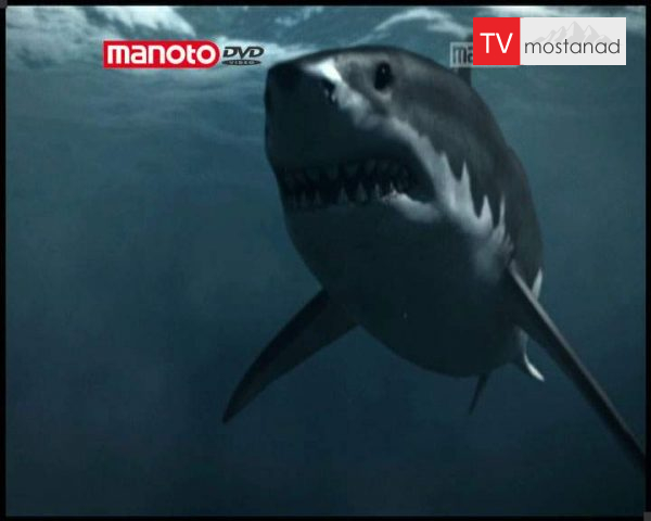 دانلود مستند قاتلان در اعماق دریا از مجموعه نبرد ژوراسیک دانلود مستند قاتلان در اعماق دریا از مجموعه نبرد ژوراسیک