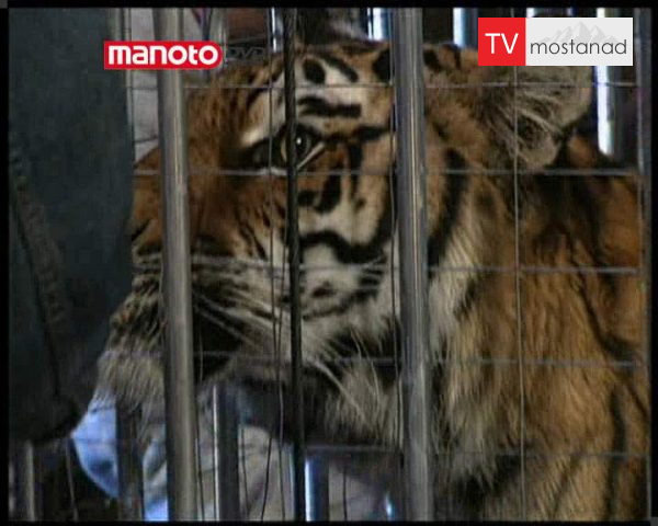 دانلود مستند رازهای شعبده باز – 1 از مجموعه رازهای شعبده باز دانلود مستند رازهای شعبده باز - 1 از مجموعه رازهای شعبده باز