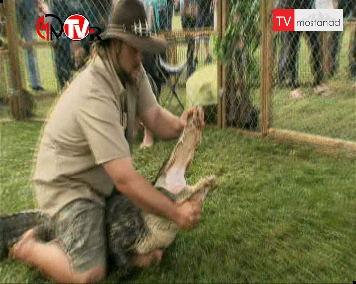 دانلود مستند تمساح بان – 10 از مجموعه تمساح بان دانلود مستند تمساح بان - 10 از مجموعه تمساح بان