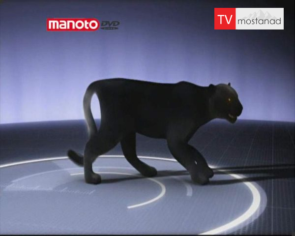 دانلود مستند گربههای نیو یورکی از مجموعه جستجوی هیولا دانلود مستند گربههای نیو یورکی از مجموعه جستجوی هیولا