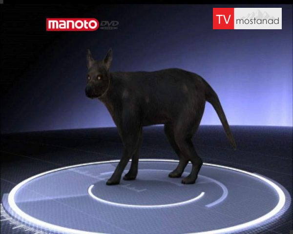 دانلود مستند این گروه خشن از مجموعه جستجوی هیولا دانلود مستند این گروه خشن از مجموعه جستجوی هیولا