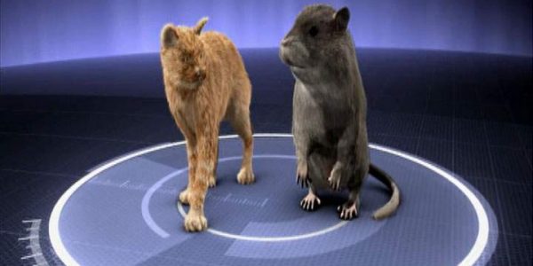 دانلود مستند موشهای غول‌‌پیکر از مجموعه جستجوی هیولا