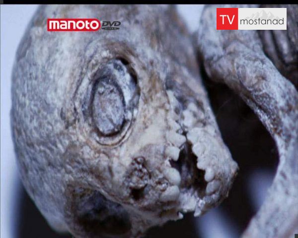 دانلود مستند وحشت بر فراز آسمان از مجموعه جستجوی هیولا دانلود مستند وحشت بر فراز آسمان از مجموعه جستجوی هیولا