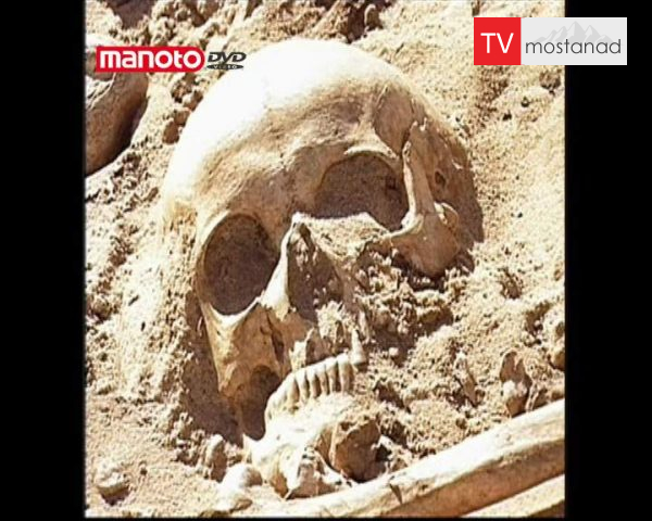 دانلود مستند ناپلئون و گورستان دسته جمعی از مجموعه سیری در تاریخ دانلود مستند ناپلئون و گورستان دسته جمعی از مجموعه سیری در تاریخ