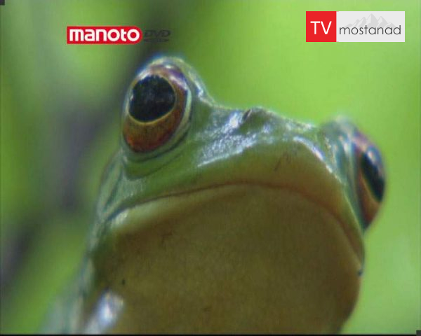 دانلود مستند ژاپن از مجموعه در توان طبیعت دانلود مستند ژاپن از مجموعه در توان طبیعت