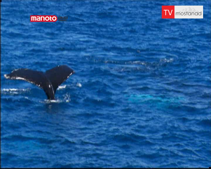 دانلود مستند اروپا از مجموعه آبی بیکران دانلود مستند اروپا از مجموعه آبی بیکران