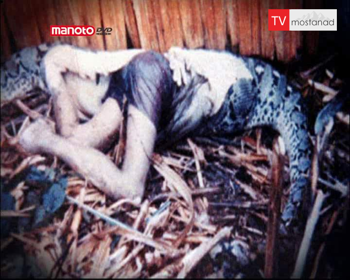 دانلود مستند مارهای قاتل از مجموعه جستجوی هیولا دانلود مستند مارهای قاتل از مجموعه جستجوی هیولا