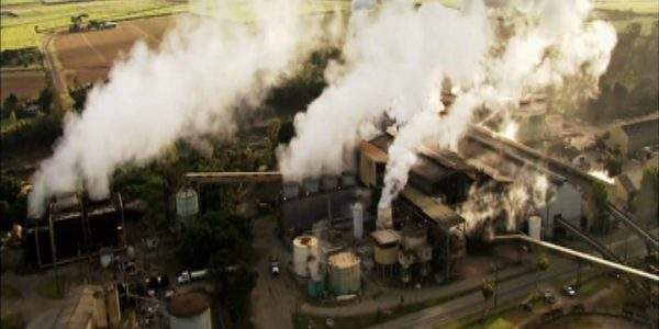 دانلود مستند شکر از مجموعه استرالیا