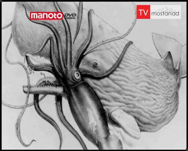 دانلود مستند هشت پای غول آسا از مجموعه جستجوی هیولا دانلود مستند هشت پای غول آسا از مجموعه جستجوی هیولا