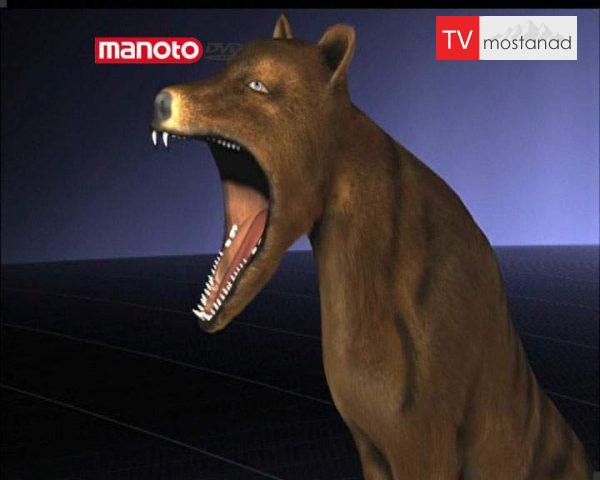 دانلود مستند جزیره ببر گمشده از مجموعه جستجوی هیولا دانلود مستند جزیره ببر گمشده از مجموعه جستجوی هیولا