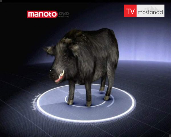 دانلود مستند خوک غول پیکر از مجموعه جستجوی هیولا دانلود مستند خوک غول پیکر از مجموعه جستجوی هیولا