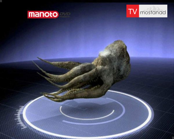 دانلود مستند وحشت بی استخوان از مجموعه جستجوی هیولا دانلود مستند وحشت بی استخوان از مجموعه جستجوی هیولا