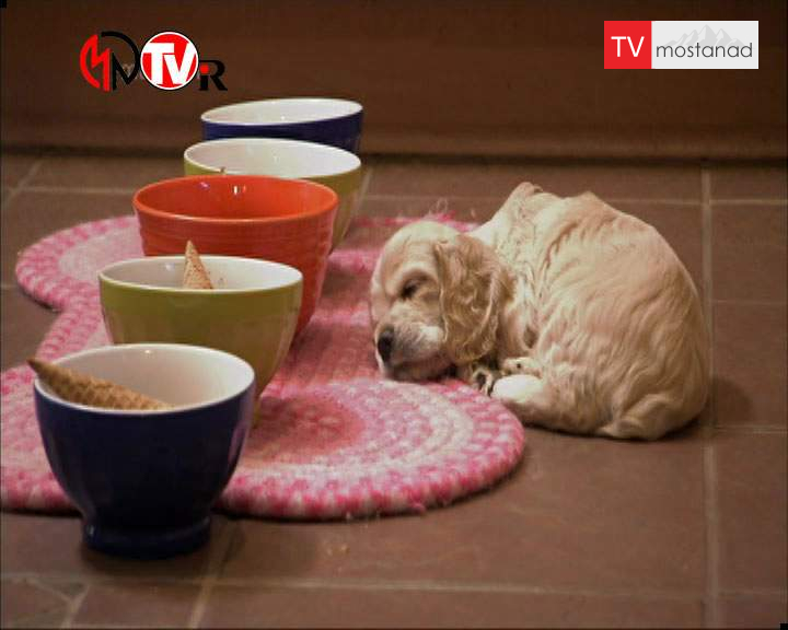 دانلود مستند دوست داشتنیها – 14 از مجموعه دوست داشتنیها دانلود مستند دوست داشتنیها - 14 از مجموعه دوست داشتنیها