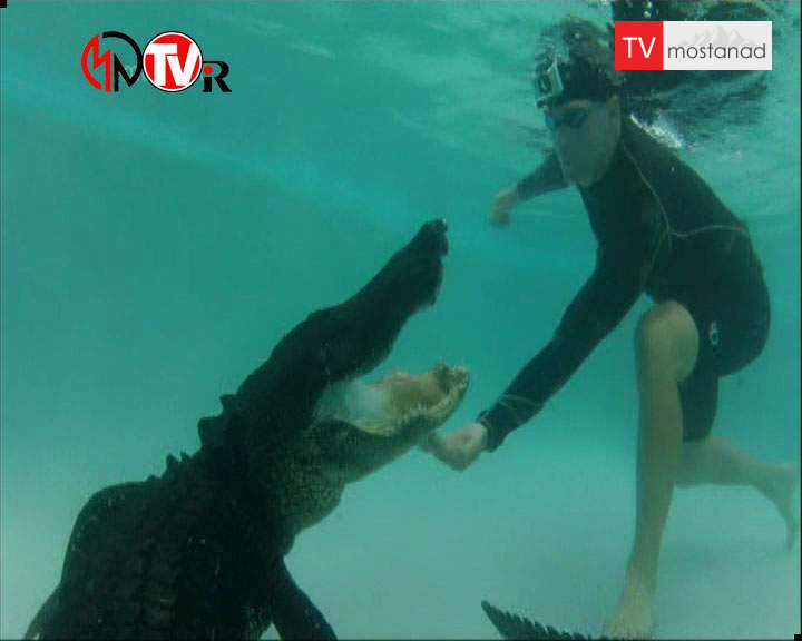 دانلود مستند تمساح بان – 5 از مجموعه تمساح بان دانلود مستند تمساح بان - 5 از مجموعه تمساح بان