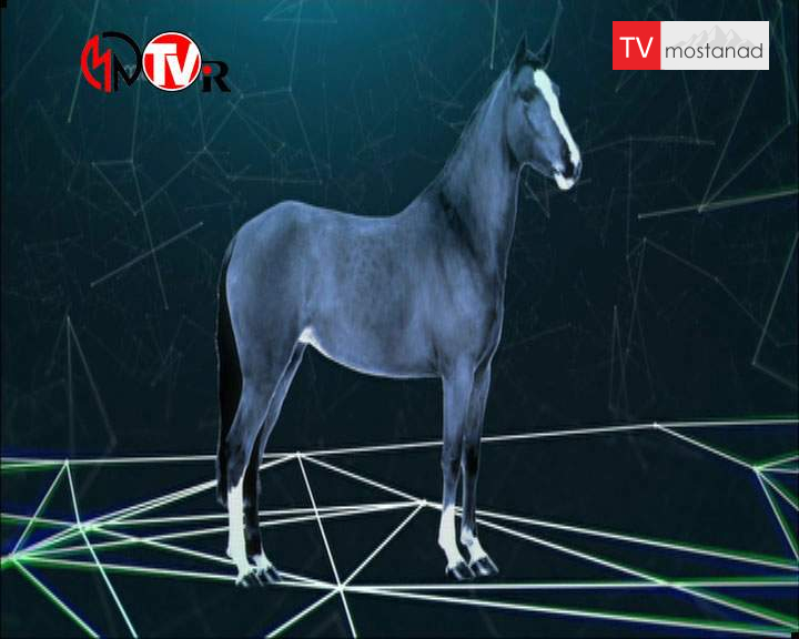 دانلود مستند نیروی انقلابی اسب از مجموعه انسان، زمین، جهان دانلود مستند نیروی انقلابی اسب از مجموعه انسان، زمین، جهان