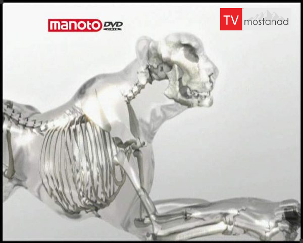 دانلود مستند سرعت از مجموعه تکامل دانلود مستند سرعت از مجموعه تکامل