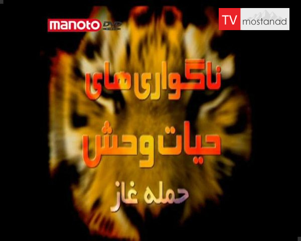 دانلود مستند حمله غاز از مجموعه ناگواری های حیات وحش دانلود مستند حمله غاز از مجموعه ناگواری های حیات وحش
